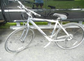 2017-07-26 10.17.27 (Copy)