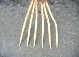 2017-07-26 10.19.26 (Copy)