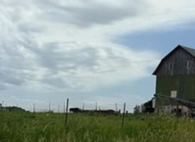 20170608_130233 (Copy)