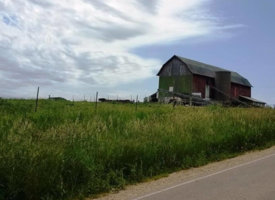 20170608_130234 (Copy)