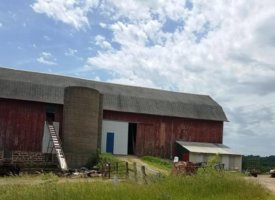 20170608_130314 (Copy)