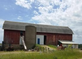 20170608_130316 (Copy)