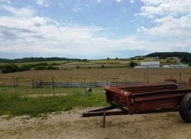 20170608_130545 (Copy)