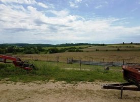 20170608_130547 (Copy)