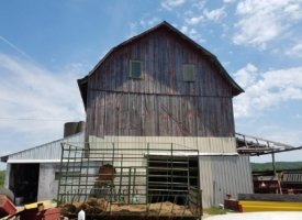 20170608_133050 (Copy)