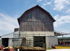 20170608_133051 (Copy)