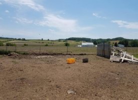 20170608_133253 (Copy)