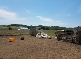 20170608_133256 (Copy)