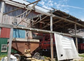 20170608_133300 (Copy)