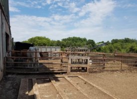 20170608_133403 (Copy)