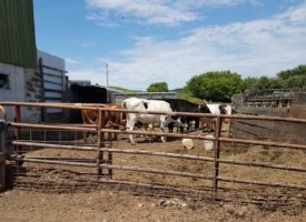 20170608_133513 (Copy)