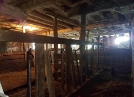 20170608_133626 (Copy)