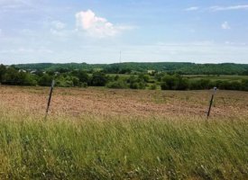 20170608_140206 (Copy)