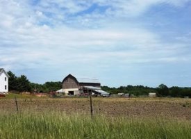 20170608_140233 (Copy)