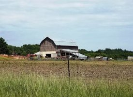 20170608_140236 (Copy)