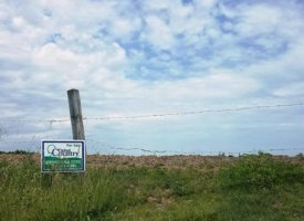 20170608_140619 (Copy)