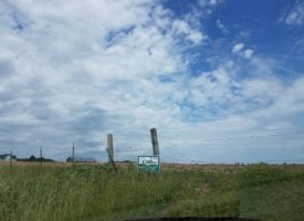 20170608_140621_001 (Copy)