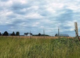 20170608_140625_001 (Copy)