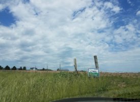 20170608_140625_003 (Copy)