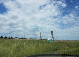 20170608_140626 (Copy)