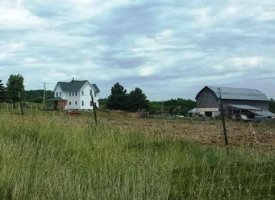 20170608_140706 (Copy)