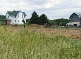 20170608_140715 (Copy)