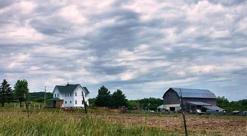 Cazenovia Hobby Farm Live Auction August 28th 1:00PM