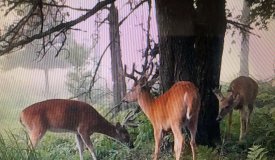 Professionally Developed Hunting Land in Marathon County