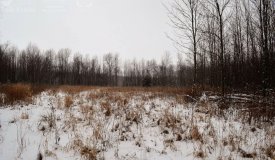 Wooded Acreage Located in Manitowoc County