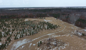 Quality Hunting Parcel Located in Adams County, WI
