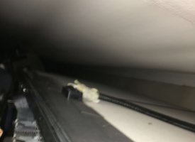 Photo Feb 22, 11 10 59 AM