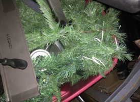 Photo Feb 22, 11 12 58 AM