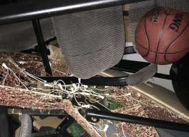 Photo Feb 22, 11 23 54 AM