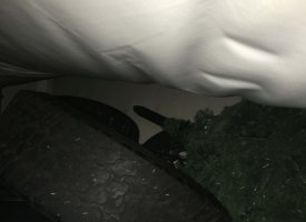 Photo Feb 22, 11 25 34 AM