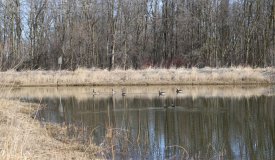 Land For Sale in the Town of Farmington Washington County