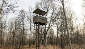 120 Acre Deer Camp with Cabin in Adams County