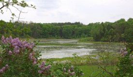 Beautiful 60-acre parcel of central Wisconsin hunting land