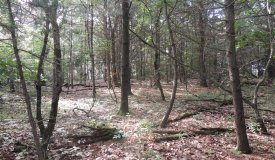 Beautiful wooded building site with view of Jordan Lake, Adams County Wisconsin Dells, WI