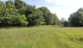 Adams County Wisconsin Dells, WI Wooded building site with view of Jordan Lake,
