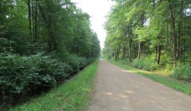 40 Acre Parcel Great for Hunting in Portage County WI