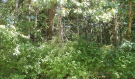 Vacant Land Bring Your Own Builder Portage Wisconsin