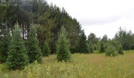 Diverse land characteristics in Marathon County WI