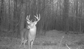 Quality Gated Hunting Property Marathon County WI