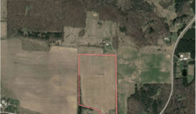 Excellent Farm Land Available South of Amherst WI