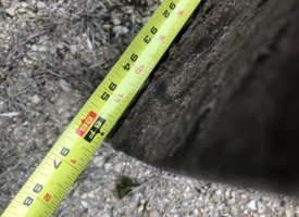 Photo Jan 14, 2 49 17 PM