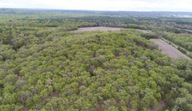Recreational Tract LaCrosse County WI