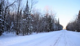 40 +/- Acres Hunting/Timberland in Marathon County WI