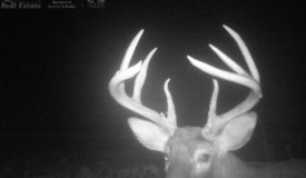 Turnkey Quality Hunting Parcel in Adams County