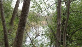 Dodge County Wisconsin Hunting Land For Sale