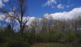 Buildable Lot Columbia County Portage